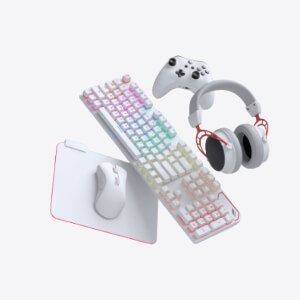 Computer Accessories